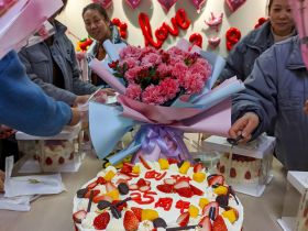 买大小球官网·(中国)官方网站
举办三八妇女节活动